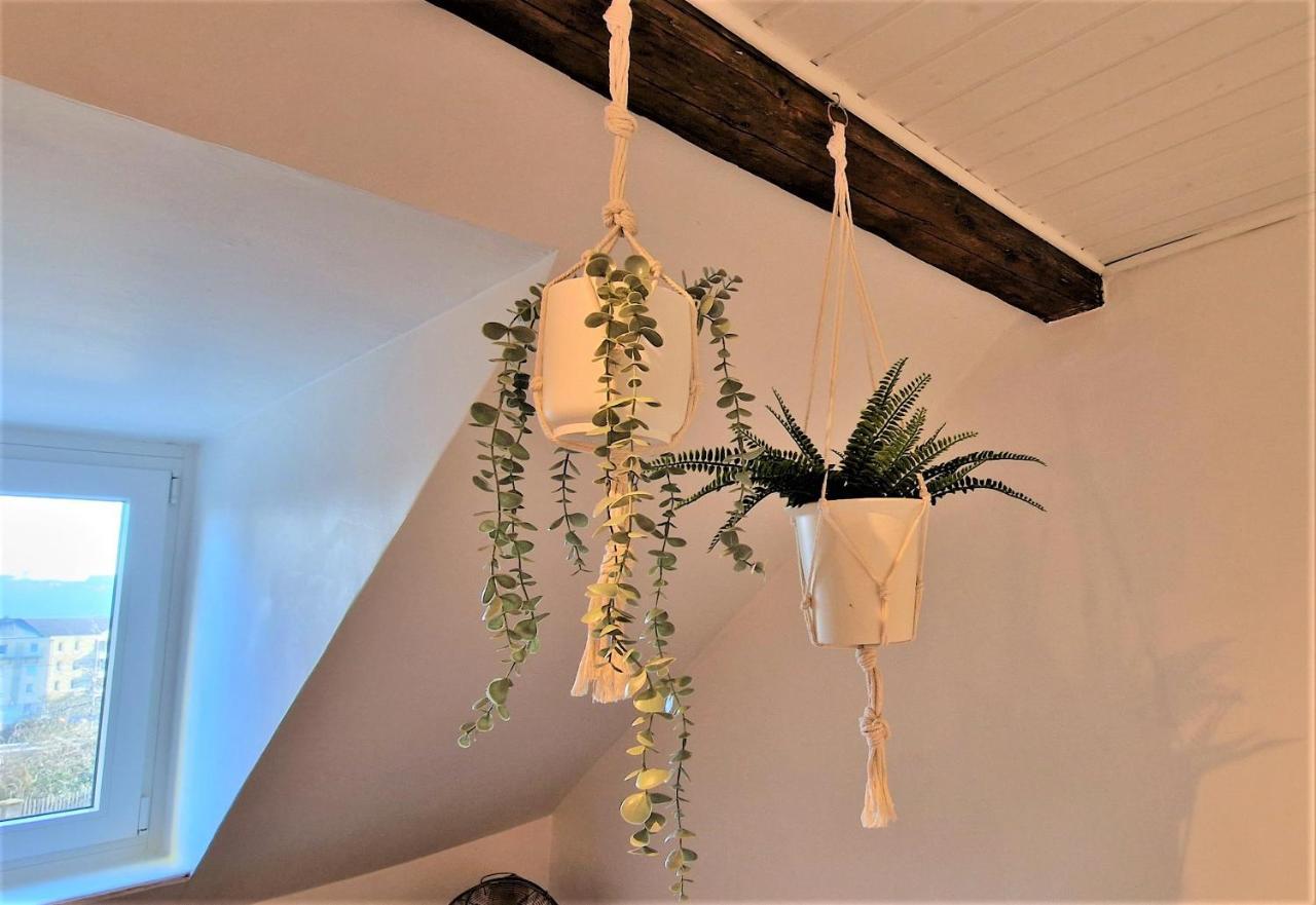 Liebenswertes Apartment 10 Minuten Zur Altstadt 코블렌츠 외부 사진